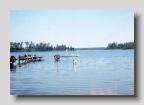 024 Finlandia